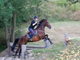 IMG_8283_web